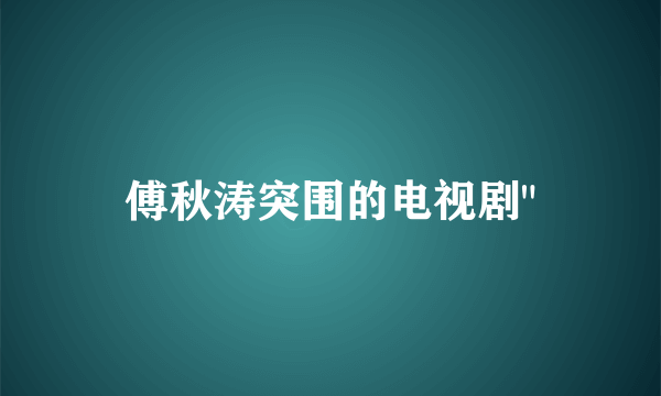 傅秋涛突围的电视剧