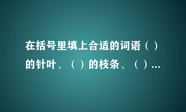 在括号里填上合适的词语（）的针叶、（）的枝条、（）的花朵、（）的怪石、（）的颜色、（）的日子