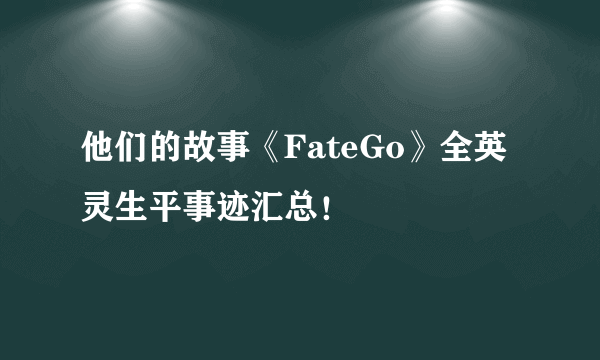 他们的故事《FateGo》全英灵生平事迹汇总！