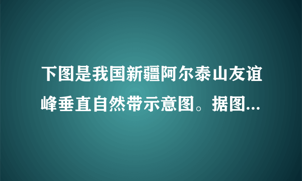 下图是我国新疆阿尔泰山友谊峰垂直自然带示意图。据图完成下列各题。29. 形成友谊峰垂直植被分异和南北坡植被分异的主要因素分别是A. 气温    降水              B. 降水    气温C. 气温    气温              D. 降水    降水30. 图中 2000 米高度南北坡植被差异的主导因素是A. 气温              B. 水分C. 海拔              D. 坡度