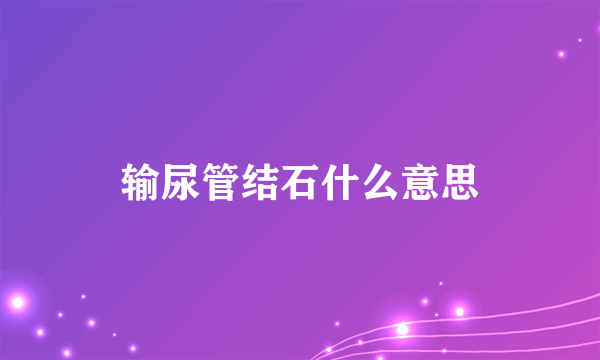 输尿管结石什么意思