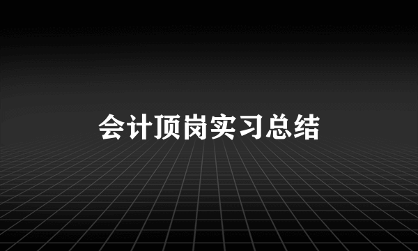 会计顶岗实习总结