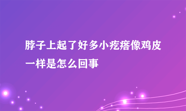 脖子上起了好多小疙瘩像鸡皮一样是怎么回事