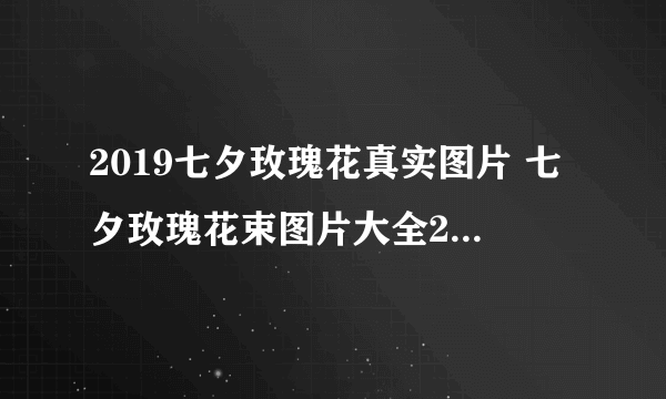 2019七夕玫瑰花真实图片 七夕玫瑰花束图片大全2019唯美