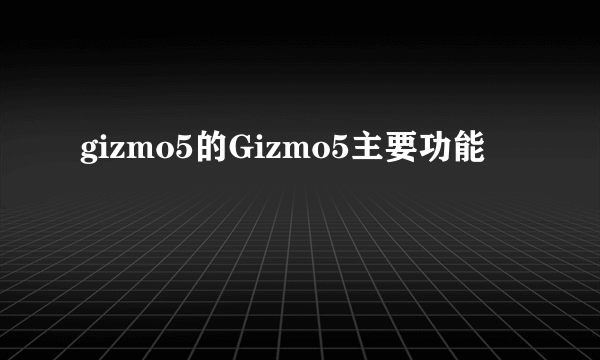 gizmo5的Gizmo5主要功能