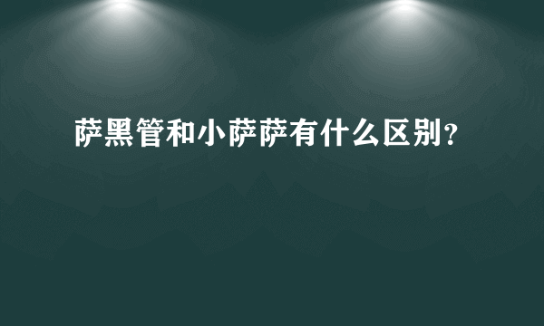 萨黑管和小萨萨有什么区别？