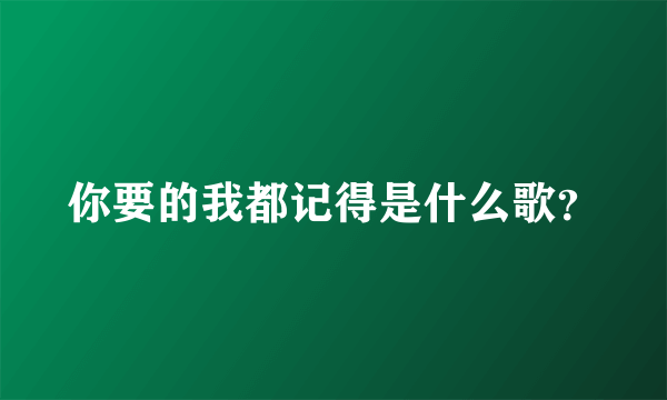 你要的我都记得是什么歌？