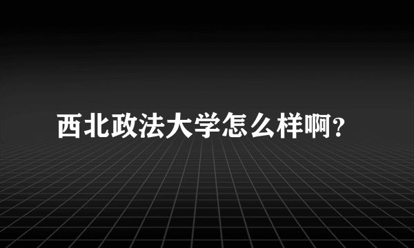 西北政法大学怎么样啊？