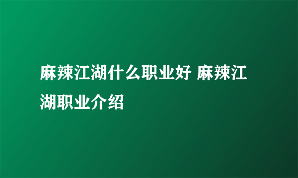 麻辣江湖什么职业好 麻辣江湖职业介绍