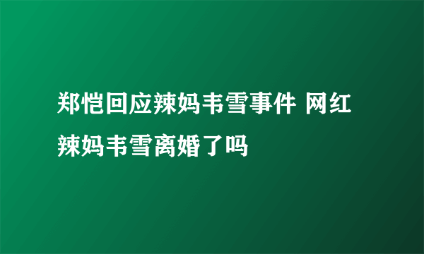 郑恺回应辣妈韦雪事件 网红辣妈韦雪离婚了吗