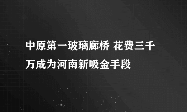 中原第一玻璃廊桥 花费三千万成为河南新吸金手段