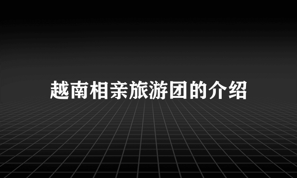 越南相亲旅游团的介绍