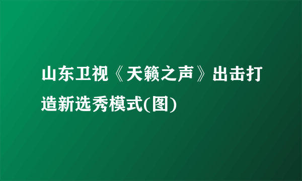 山东卫视《天籁之声》出击打造新选秀模式(图)