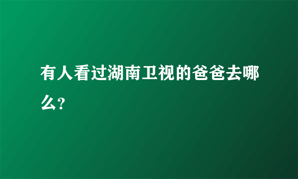 有人看过湖南卫视的爸爸去哪么？