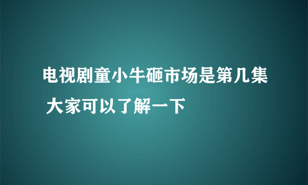 电视剧童小牛砸市场是第几集 大家可以了解一下