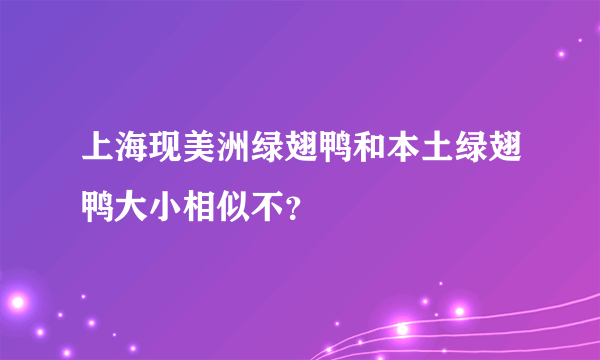 上海现美洲绿翅鸭和本土绿翅鸭大小相似不？