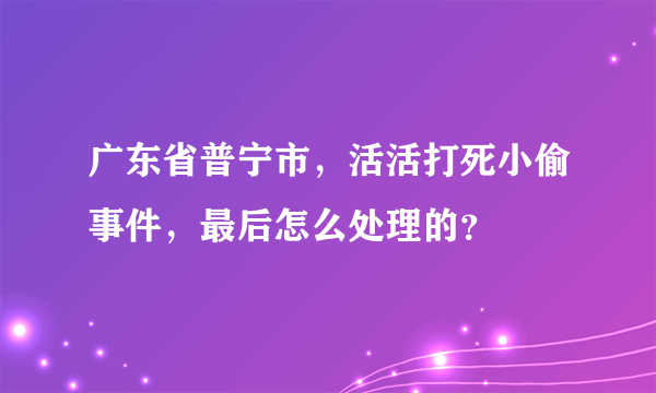 广东省普宁市，活活打死小偷事件，最后怎么处理的？