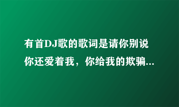 有首DJ歌的歌词是请你别说你还爱着我，你给我的欺骗那么多 歌名是什么？ 谢谢各位！