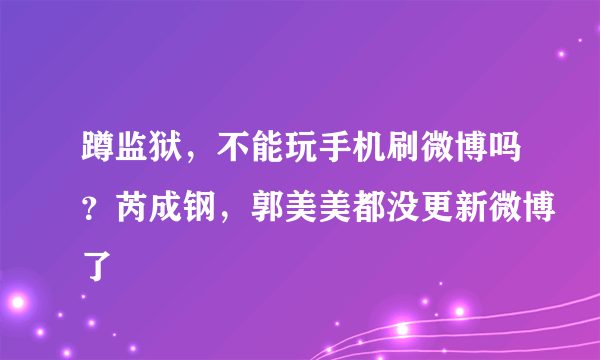 蹲监狱，不能玩手机刷微博吗？芮成钢，郭美美都没更新微博了