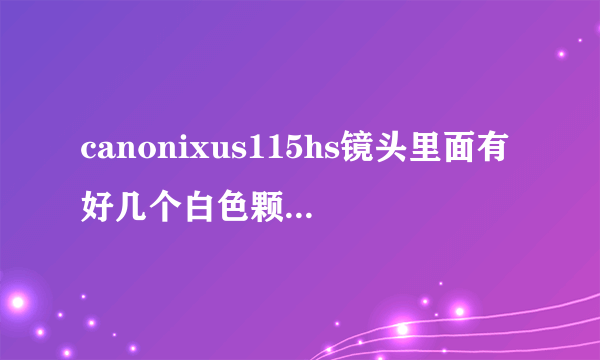 canonixus115hs镜头里面有好几个白色颗粒状的东西，正常吗？