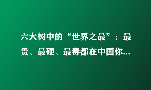 六大树中的“世界之最”：最贵、最硬、最毒都在中国你知道是哪些树吗？