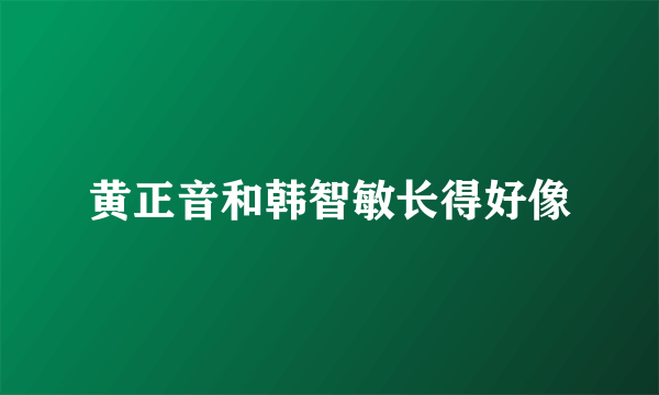 黄正音和韩智敏长得好像