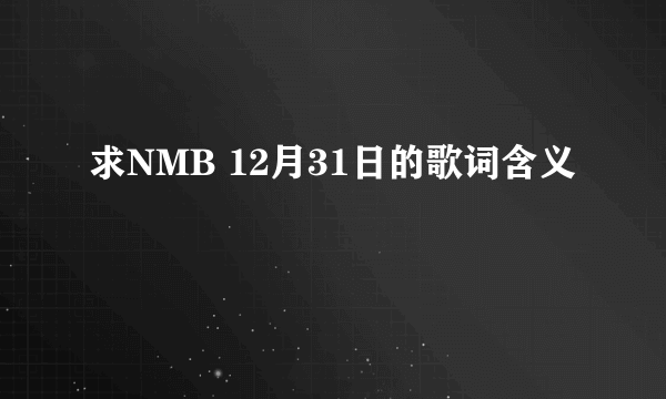 求NMB 12月31日的歌词含义