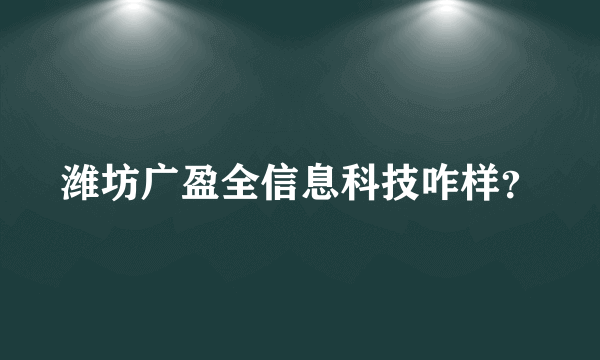 潍坊广盈全信息科技咋样？