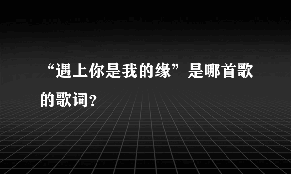 “遇上你是我的缘”是哪首歌的歌词？