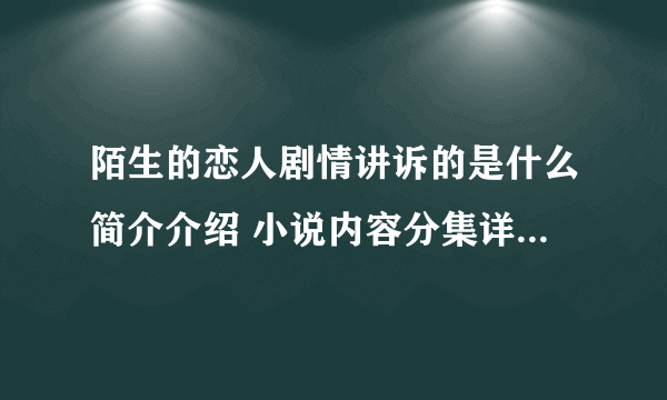 陌生的恋人剧情讲诉的是什么简介介绍 小说内容分集详细解析结局一览