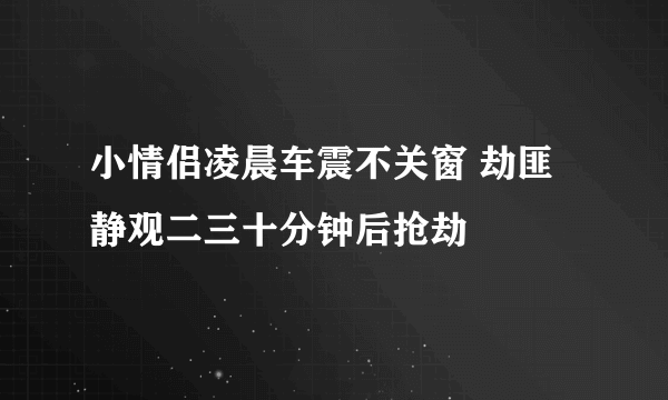 小情侣凌晨车震不关窗 劫匪静观二三十分钟后抢劫