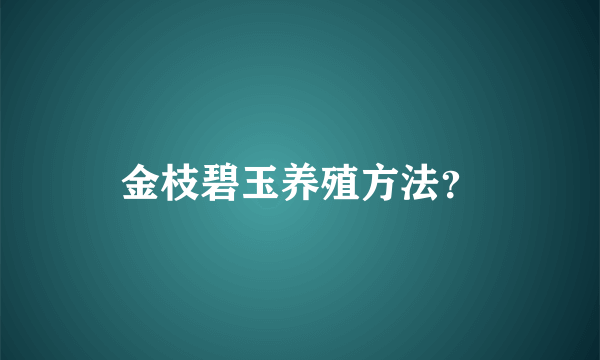 金枝碧玉养殖方法？