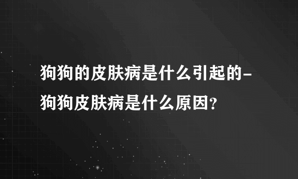 狗狗的皮肤病是什么引起的-狗狗皮肤病是什么原因？