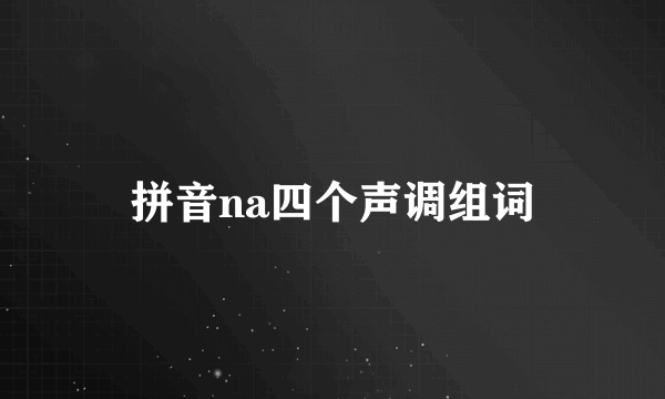 拼音na四个声调组词