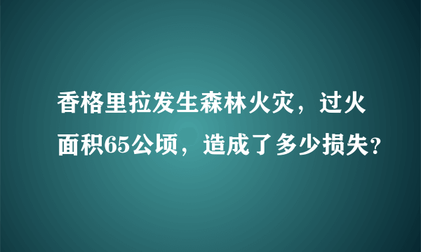 香格里拉发生森林火灾，过火面积65公顷，造成了多少损失？