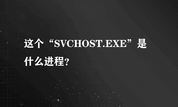 这个“SVCHOST.EXE”是什么进程？