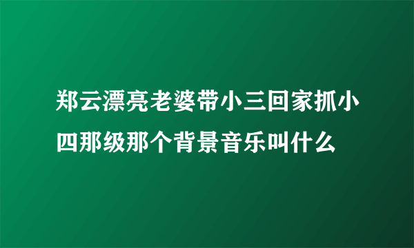 郑云漂亮老婆带小三回家抓小四那级那个背景音乐叫什么