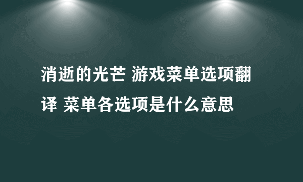 消逝的光芒 游戏菜单选项翻译 菜单各选项是什么意思