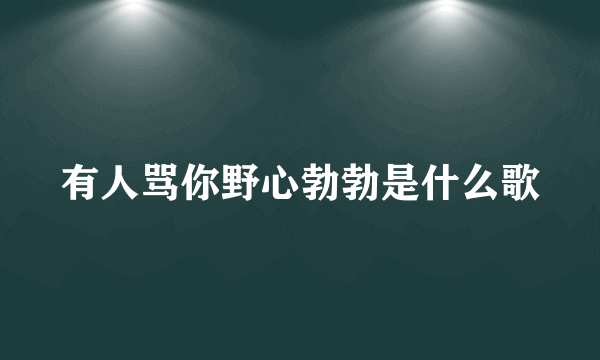 有人骂你野心勃勃是什么歌