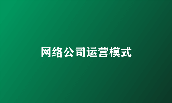 网络公司运营模式