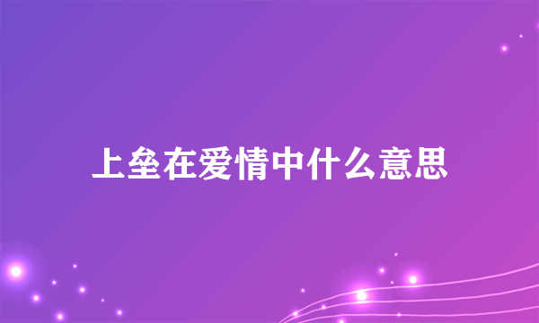 上垒在爱情中什么意思