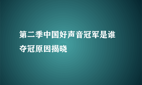 第二季中国好声音冠军是谁 夺冠原因揭晓