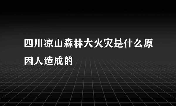 四川凉山森林大火灾是什么原因人造成的