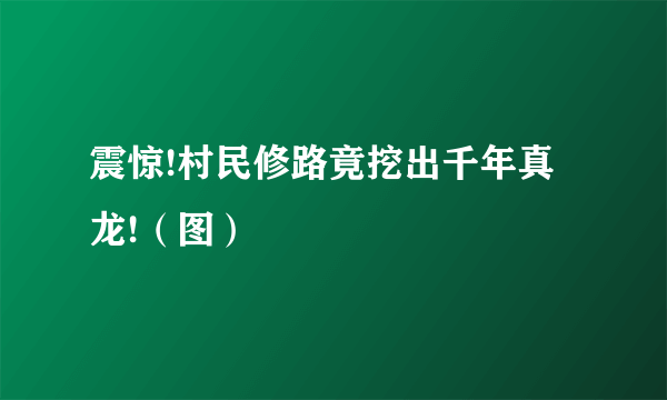 震惊!村民修路竟挖出千年真龙!（图）