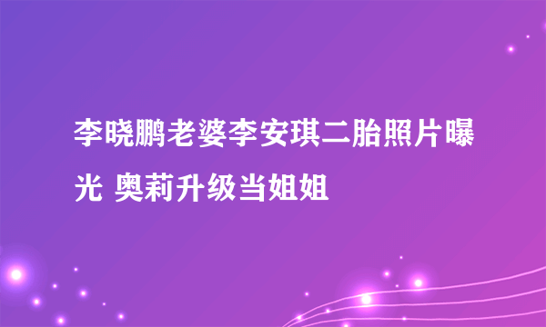 李晓鹏老婆李安琪二胎照片曝光 奥莉升级当姐姐