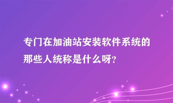 专门在加油站安装软件系统的那些人统称是什么呀？