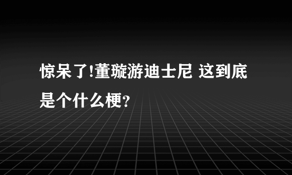 惊呆了!董璇游迪士尼 这到底是个什么梗？