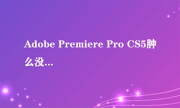 Adobe Premiere Pro CS5肿么没有HDV选项