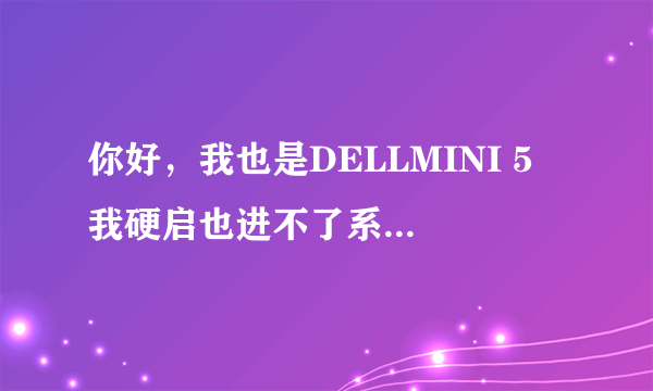 你好，我也是DELLMINI 5 我硬启也进不了系统，可以教我如何刷机吗？