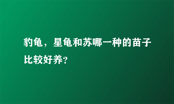 豹龟，星龟和苏哪一种的苗子比较好养？